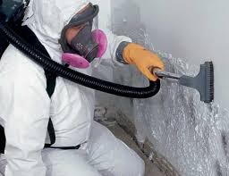 Best Residential Mold Inspection & Testing in Jacobus, PA